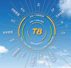 中型企业管理-T8